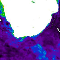 GlobColour Chlorophyll