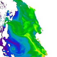 Sentinel 3 OLCI Chlorophyll