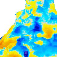 SST Anomaly